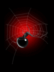 Насекомые, жучки, паучки Паук на красном фоне плетет паутину аватар