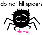 Насекомые, жучки, паучки Паучёк - do not kill spiders please аватар