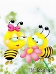 Насекомые, жучки, паучки Влюбленные пчелки аватар