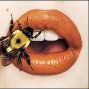 Насекомые, жучки, паучки Пчела на губах аватар