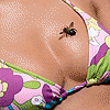 Насекомые, жучки, паучки Пчела на груди у девушки аватар