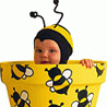 Насекомые, жучки, паучки Ребенок пчелка выглядывает из банки с медом аватар