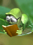 Насекомые, жучки, паучки Гусеница читает аватар
