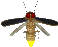 Насекомые, жучки, паучки Взлетающий комар аватар