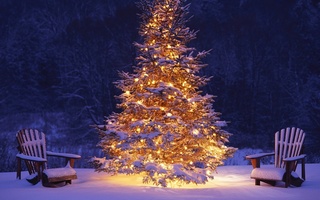 Новый год и Рождество С Новым годом! Новогодняя красавица елка приглашает гостей аватар