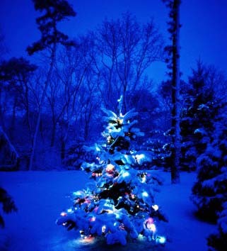 Новый год и Рождество С Новым годом! Новогодняя красавица елка аватар