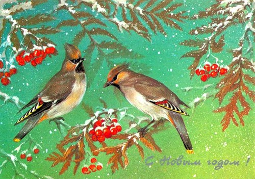 Новый год и Рождество С Новым годом! Птицы на гроздьях рябины аватар