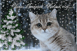 Новый год и Рождество С Новым годом! Кошечка аватар