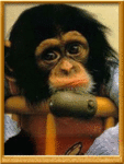 Обезьяны Печальная обезьянка аватар