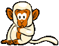 Обезьяны Белая обезьянка аватар