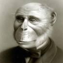 Обезьяны Человеко-обезьяна в костюме аватар