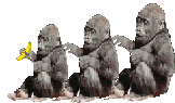 Обезьяны Три обезьяны аватар