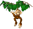 Обезьяны Быстрая обезьянка аватар