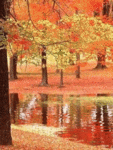 Осень Осенний лес аватар