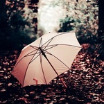 Осень Зонтик в осеннем лесу аватар