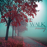 Осень Туман окутал осенний парк (walk away) аватар