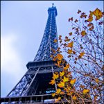 Осень Осень во Франции аватар