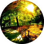 Осень Дорожка в осеннем парке аватар