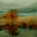 Осень Осень. Желтая дымка аватар