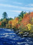 Осень Осенняя река аватар