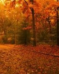 Осень Желтый осенний день аватар