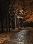 Осень Осенняя дорога аватар