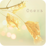 Осень Осень. Желтые листья аватар