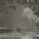 Осень Зарядил осенний дождик аватар