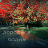 Осень Дорога в осень. Зеленое и красное аватар