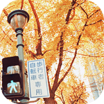 Осень Фонарь и светофор на фоне осеннего дерева в японском городе аватар
