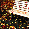 Осень Скамейка в осеннем парке аватар