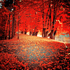 Осень Осенний парк аватар