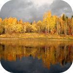 Осень Грозовые тучи над осенним лесом аватар