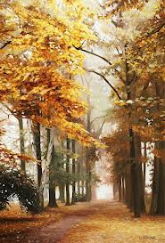 Осень Осенняя аллея. Сентябрь аватар