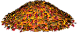 Осень Куча листьев осенью аватар