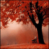 Осень Красная осень аватар
