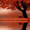 Осень Скамья в осеннем парке у озера аватар