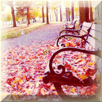 Осень Осень, скамейки в парке в осенней листве аватар