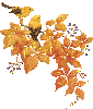Осень Птицы среди листвы. Осень аватар