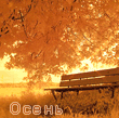 Осень Скамейка под  осенним деревом аватар