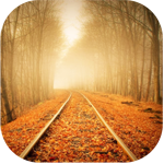Осень Осень. Железная дорога в листве аватар