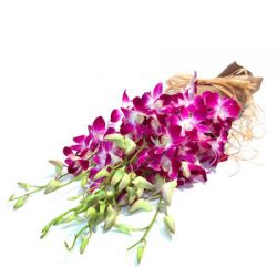 Букеты цветов Гладиолусы аватар