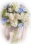 Букеты цветов Нежный букет аватар