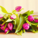 Букеты цветов Розовые тюльпаны сложены аватар
