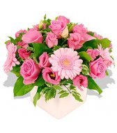 Букеты цветов Розовые гвоздики аватар