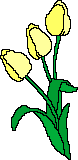 Букеты цветов Три мигающие тюльпана аватар