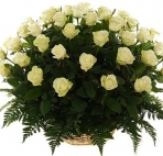 Букеты цветов Белые розы с зеленью аватар