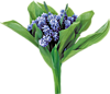 Букеты цветов Голубые цветы весны аватар