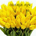 Букеты цветов Желтые тюльпаны, солнца луч аватар