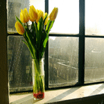 Букеты цветов Букет жёлтых тюльпанов стоит на окне аватар